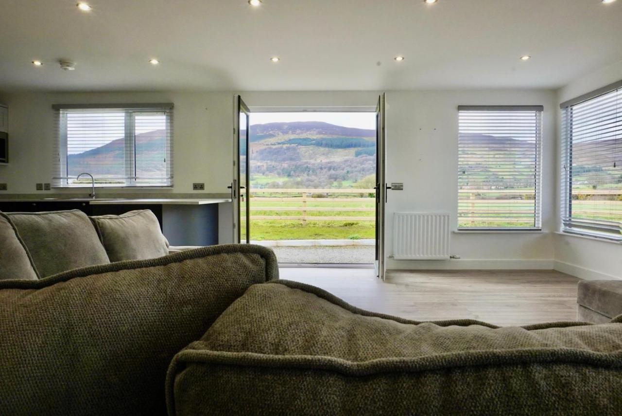 Castle View Chalet By Clonlum Cottages 뉴리 외부 사진